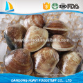 clam meat, clam meat suppliers and manufacturers